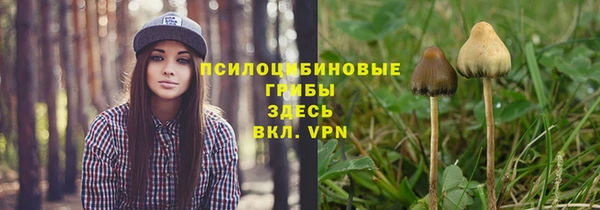 твердый Балабаново