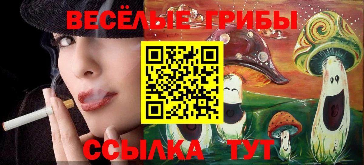 Сегежа  Псилоцибиновые грибы мухоморы  Вход с VPN 