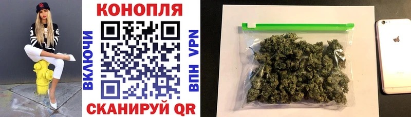 Шишки марихуана гибрид Сегежа